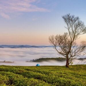 Cuadro acustico - fino 100x50x2-4cm-con foto individual tambien - 76