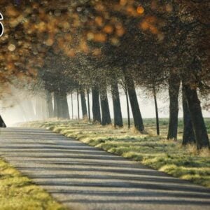 Cuadro acustico - fino 100x50x2-4cm-con foto individual tambien - 96