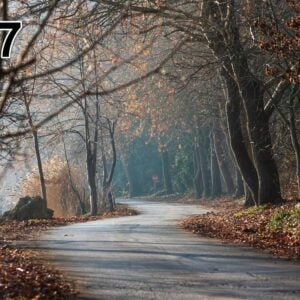 Cuadro acustico - fino 100x50x2-4cm-con foto individual tambien - 97