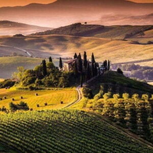 Cuadro acustico - fino 100x50x2-4cm-con foto individual tambien -37