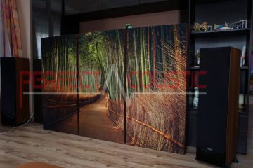 hifi exhibition room acoustics design with acoustic absorbers (4)